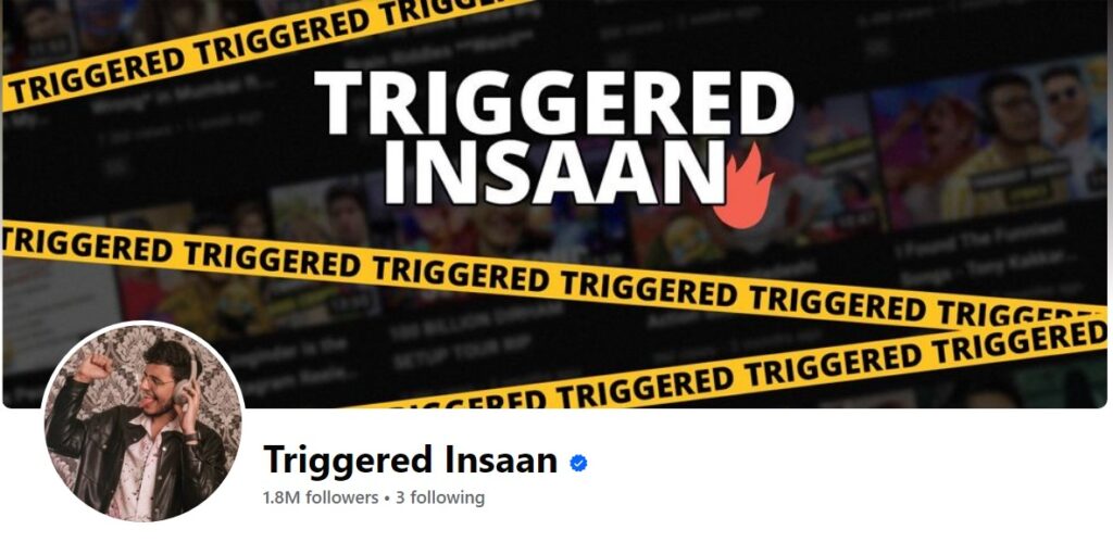 Triggered Insaan Income 2024 
